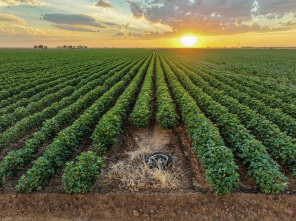 Farm and Ranch for sale in Haskell County, Texas