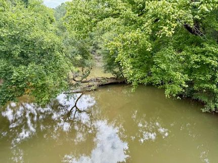 Riverfront Property for sale in Amite County, Mississippi