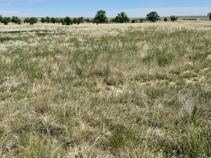 Land for sale in El Paso County, Colorado