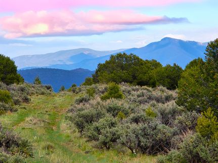Timberland Property for sale in Taos County, New Mexico