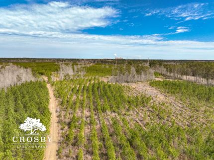 Timberland Property for sale in Berkeley County, South Carolina