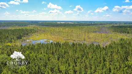 Undeveloped Land for sale in Evans County, Georgia