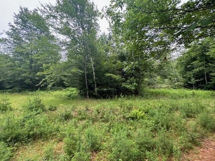 Timberland Property for sale in Somerset County, Maine