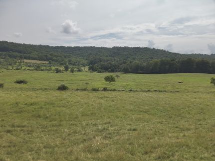 Undeveloped Land for sale in Wayne County, Pennsylvania