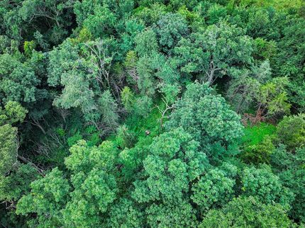 Recreational Property for sale in Winneshiek County, Iowa