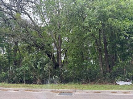Undeveloped Land for sale in Saint Tammany Parish, Louisiana