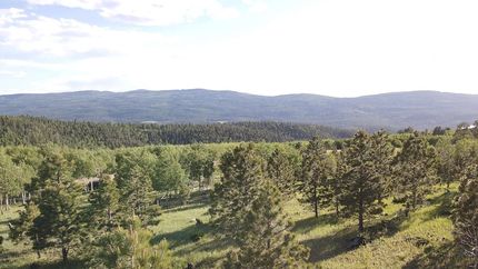 Farm and Ranch for sale in Colfax County, New Mexico