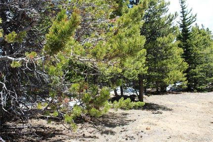 Undeveloped Land for sale in Clear Creek County, Colorado