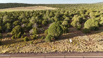 Timberland Property for sale in Apache County, Arizona