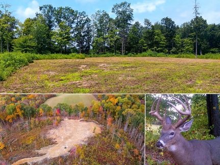 Land for sale in Vinton County, Ohio