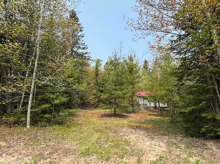 Farm and Ranch for sale in Chippewa County, Michigan