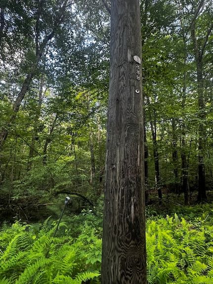 Farm and Ranch for sale in Windham County, Connecticut