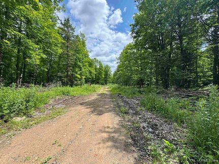 Recreational Property for sale in Iron County, Michigan