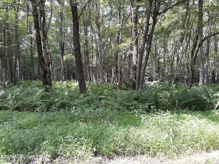 Timberland Property for sale in Carbon County, Pennsylvania