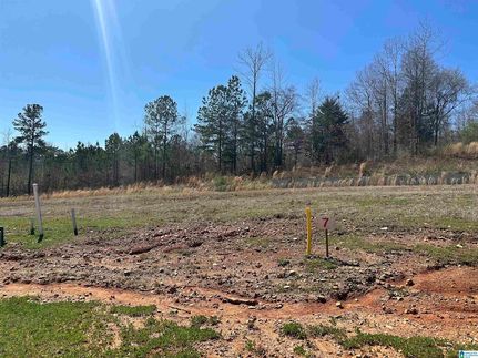 Timberland Property for sale in Calhoun County, Alabama