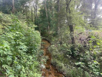 Farm and Ranch for sale in Tangipahoa Parish, Louisiana