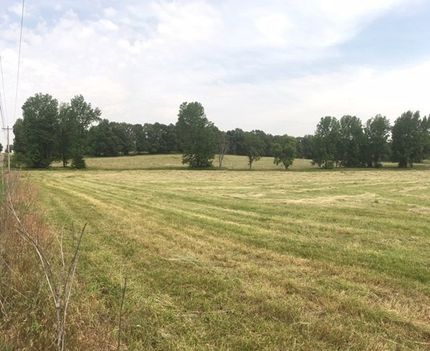 Oceanfront Property for sale in Craighead County, Arkansas