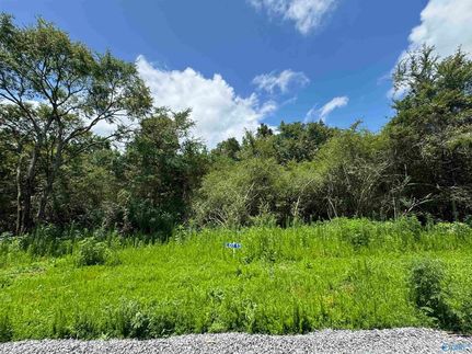 Timberland Property for sale in Marshall County, Alabama