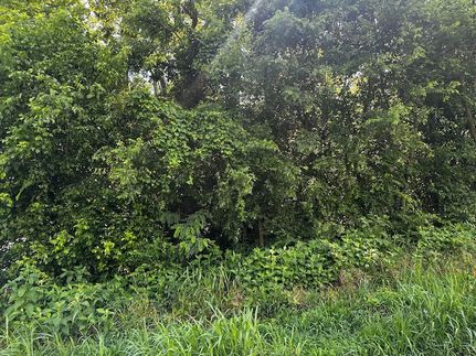 Farm and Ranch for sale in Hamblen County, Tennessee