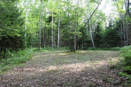 Homesite for sale in Hamilton County, New York