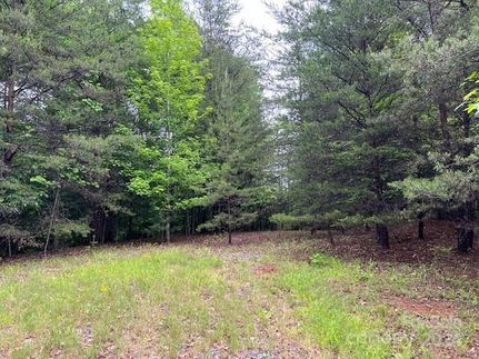 Commercial Property for sale in McDowell County, North Carolina