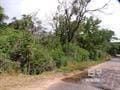 Timberland Property for sale in Baldwin County, Alabama