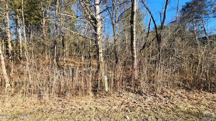 Lakefront Property for sale in Greene County, New York