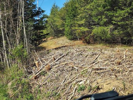 Timberland Property for sale in Cocke County, Tennessee