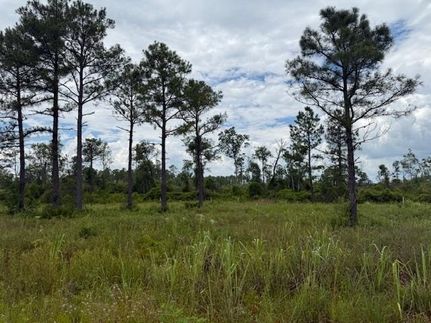 Farm and Ranch for sale in Taylor County, Florida