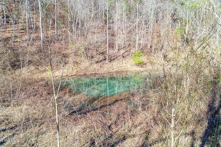 Farm and Ranch for sale in Hancock County, Tennessee