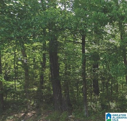 Undeveloped Land for sale in Jefferson County, Alabama