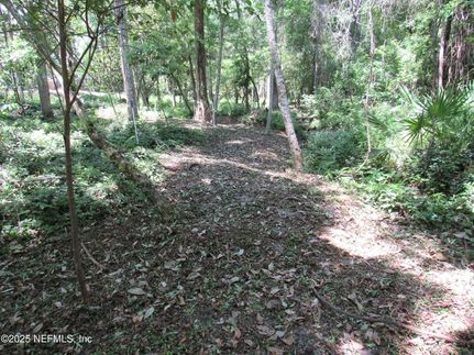 Farm and Ranch for sale in Saint Johns County, Florida