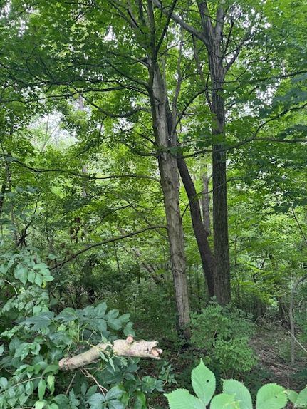 Homesite for sale in Warren County, Indiana