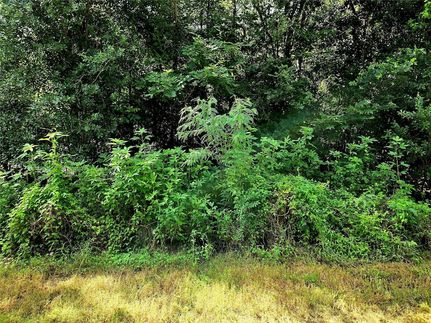 Farm and Ranch for sale in Brazoria County, Texas