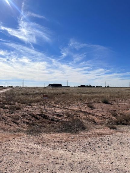 Farm and Ranch for sale in Gaines County, Texas