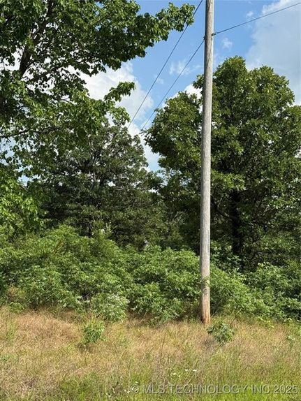 Undeveloped Land for sale in Okmulgee County, Oklahoma