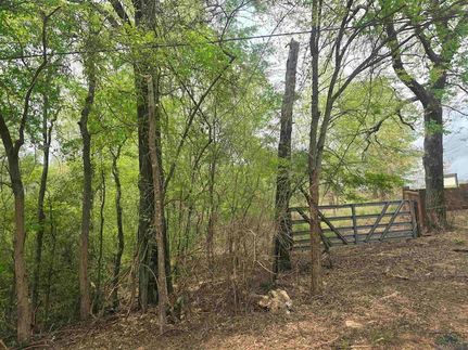 Farm and Ranch for sale in Cass County, Texas