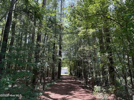 Timberland Property for sale in Craven County, North Carolina