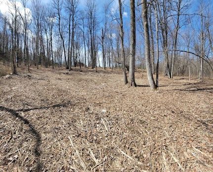 Homesite for sale in Sawyer County, Wisconsin