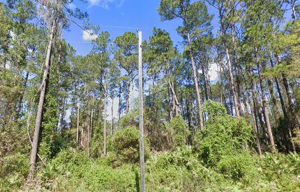 Farm and Ranch for sale in Putnam County, Florida