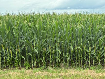 Farm and Ranch for sale in Warren County, Illinois