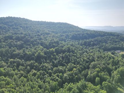 Undeveloped Land for sale in Whitley County, Kentucky