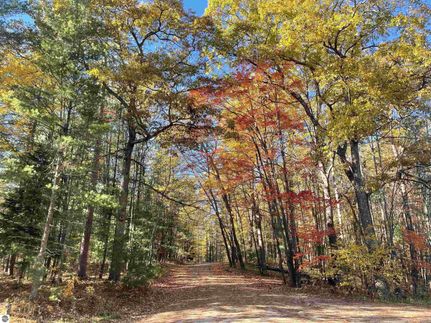Undeveloped Land for sale in Kalkaska County, Michigan