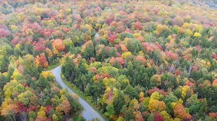 Farm and Ranch for sale in Bennington County, Vermont