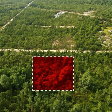 Undeveloped Land for sale in Jackson County, Florida
