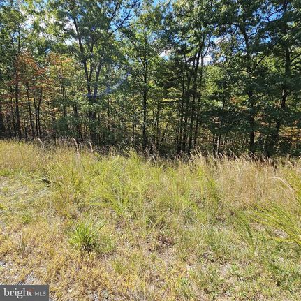 Undeveloped Land for sale in Berkeley County, West Virginia