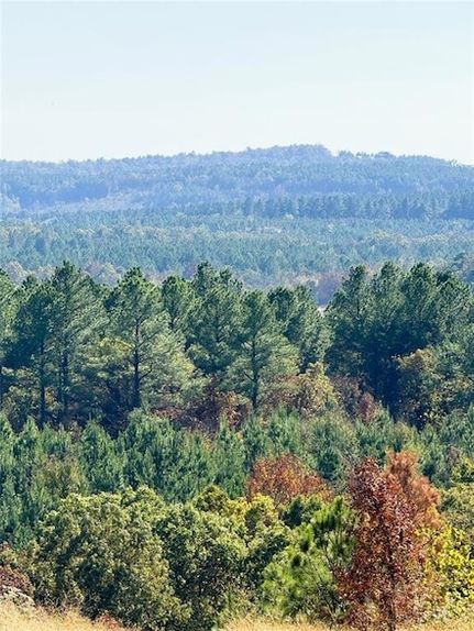 Undeveloped Land for sale in McCurtain County, Oklahoma