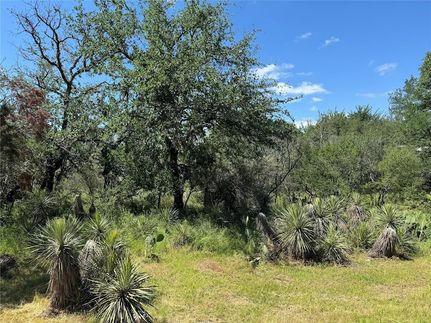 Undeveloped Land for sale in Burnet County, Texas