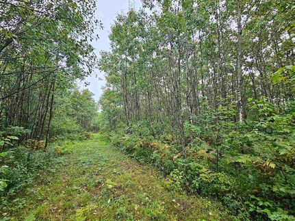 Land for sale in Iron County, Michigan