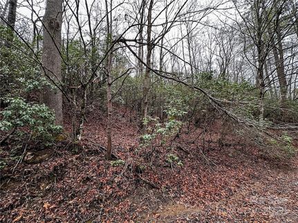 Farm and Ranch for sale in Swain County, North Carolina